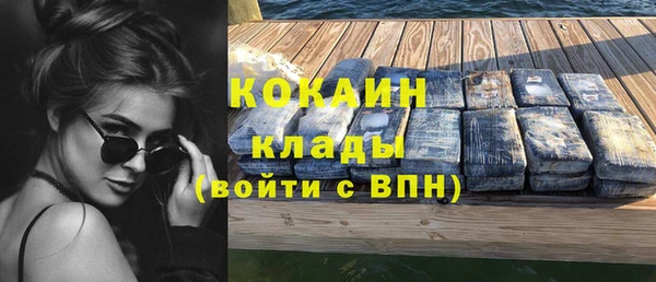 молекула духа Михайлов