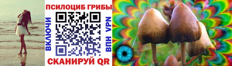 kraken ТОР  Родники  Псилоцибиновые грибы Magic Shrooms  цена наркотик 
