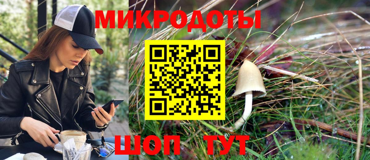 Псилоцибиновые грибы мицелий Родники