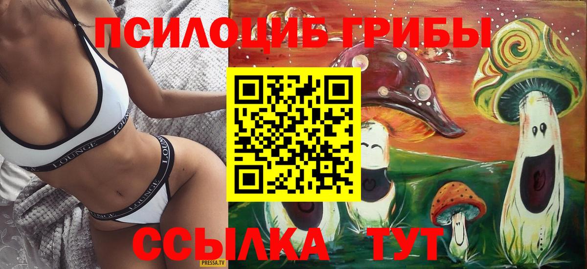 Галлюциногенные грибы Cubensis Родники