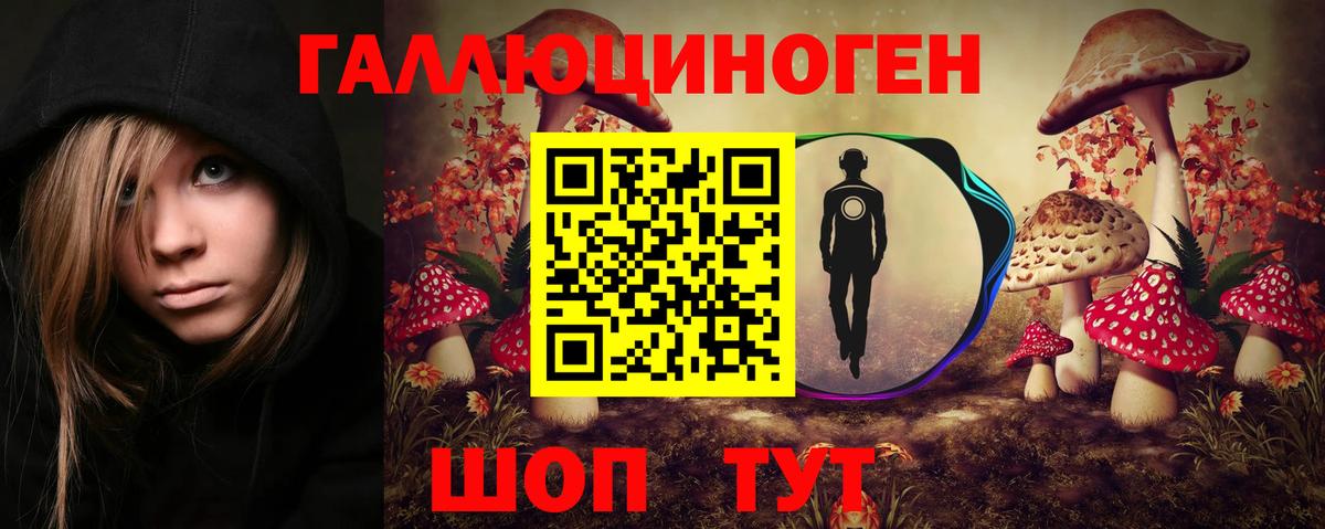 Галлюциногенные грибы MAGIC MUSHROOMS  Вход с VPN  Родники 