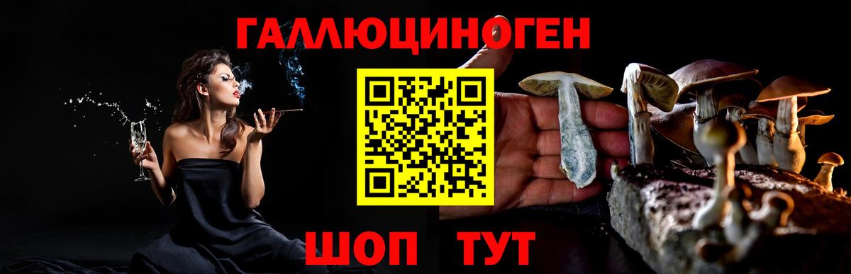 Псилоцибиновые грибы Psilocybe  закладка  Псилоцибиновые грибы Magic Shrooms  Родники  Вход с VPN 